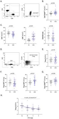 Novel T-cell subsets as non-invasive biomarkers of vascular damage along the predialysis stages of chronic kidney disease